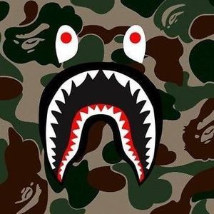 Meet your Posher, Jose